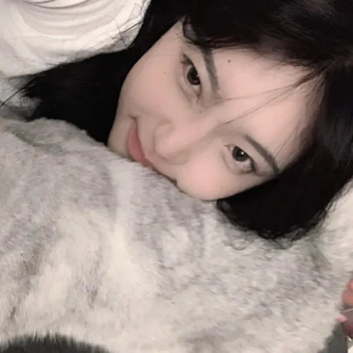我家的律师很麻烦