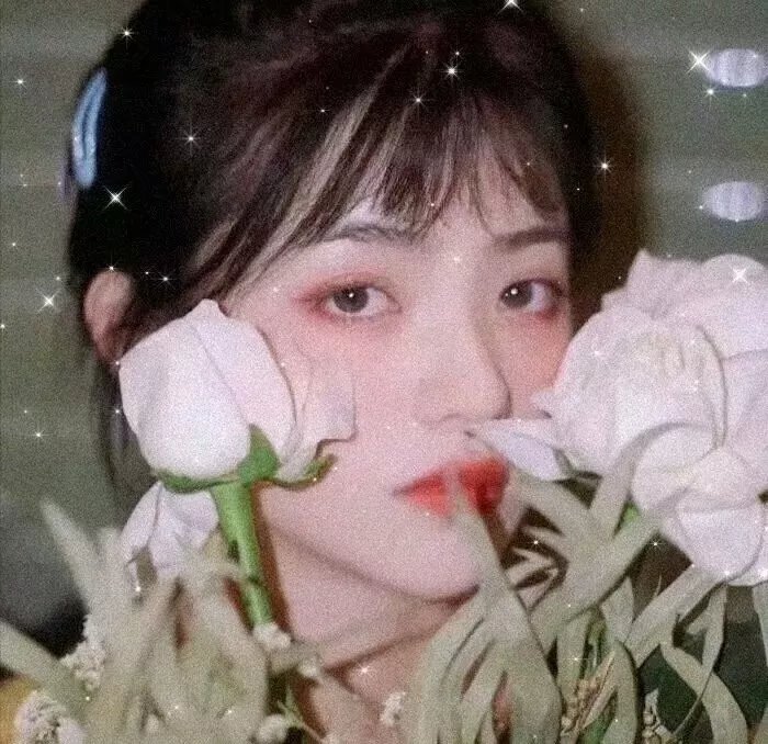 暴风一族