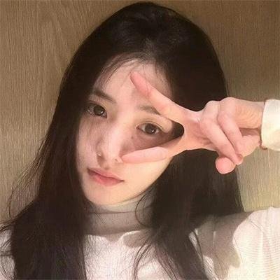 恋爱北极熊